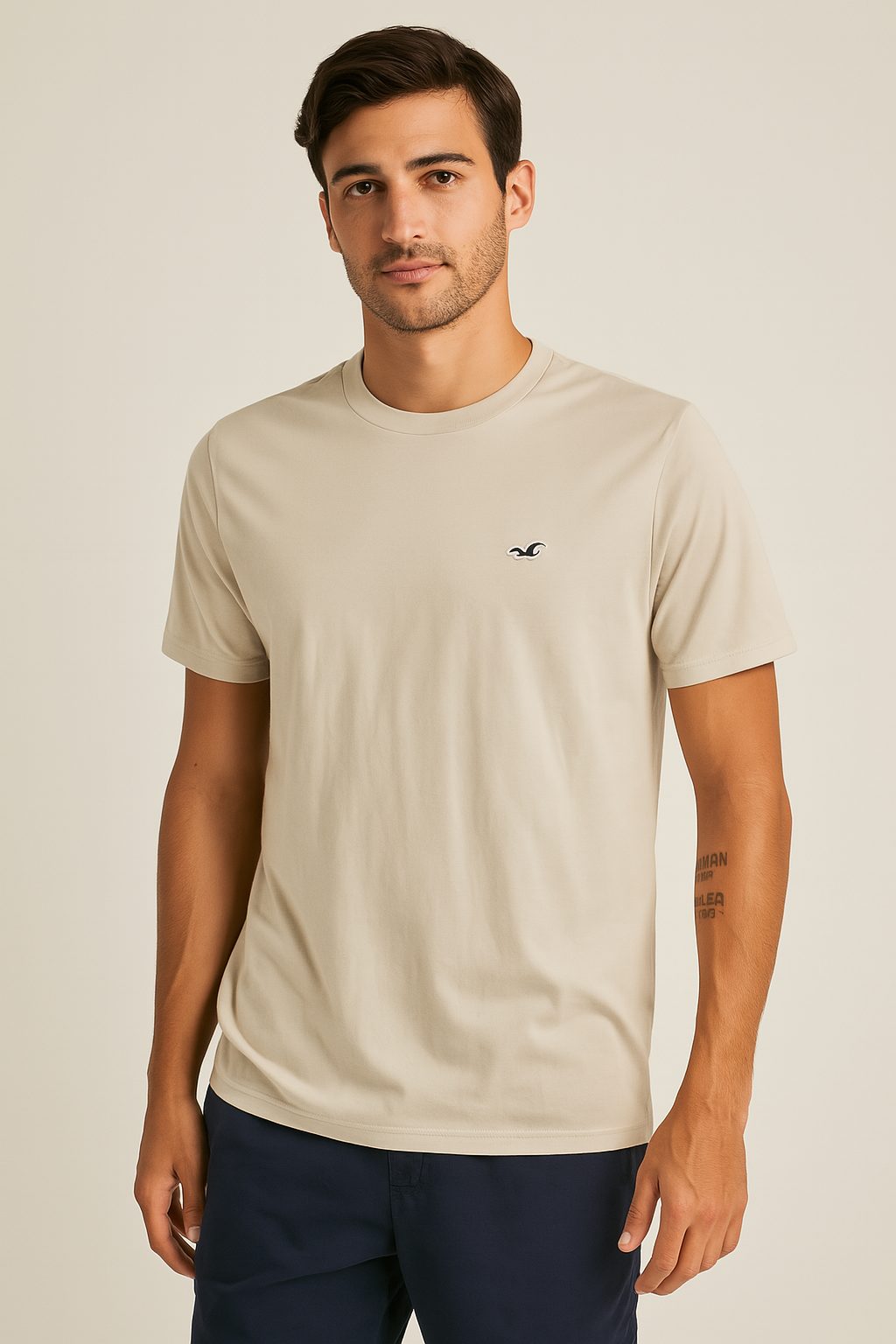 Polo Hollister plomo / Logo negro