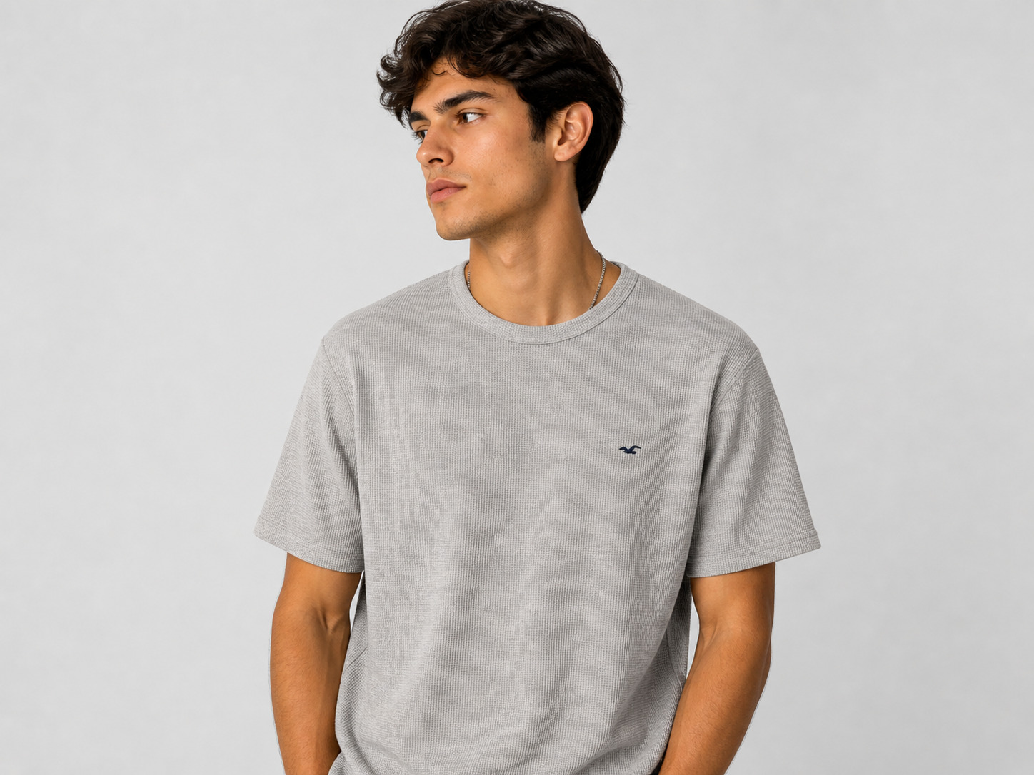 POLO HOLLISTER WAFFLE / GRIS