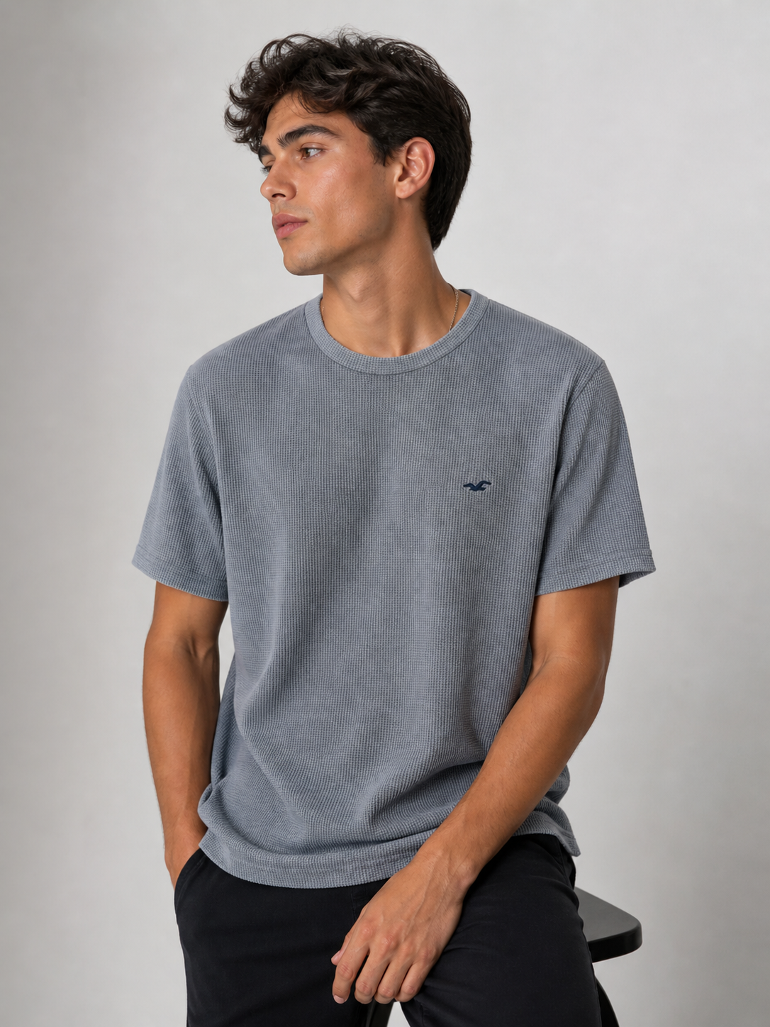 POLO HOLLISTER WAFFLE / ACERO